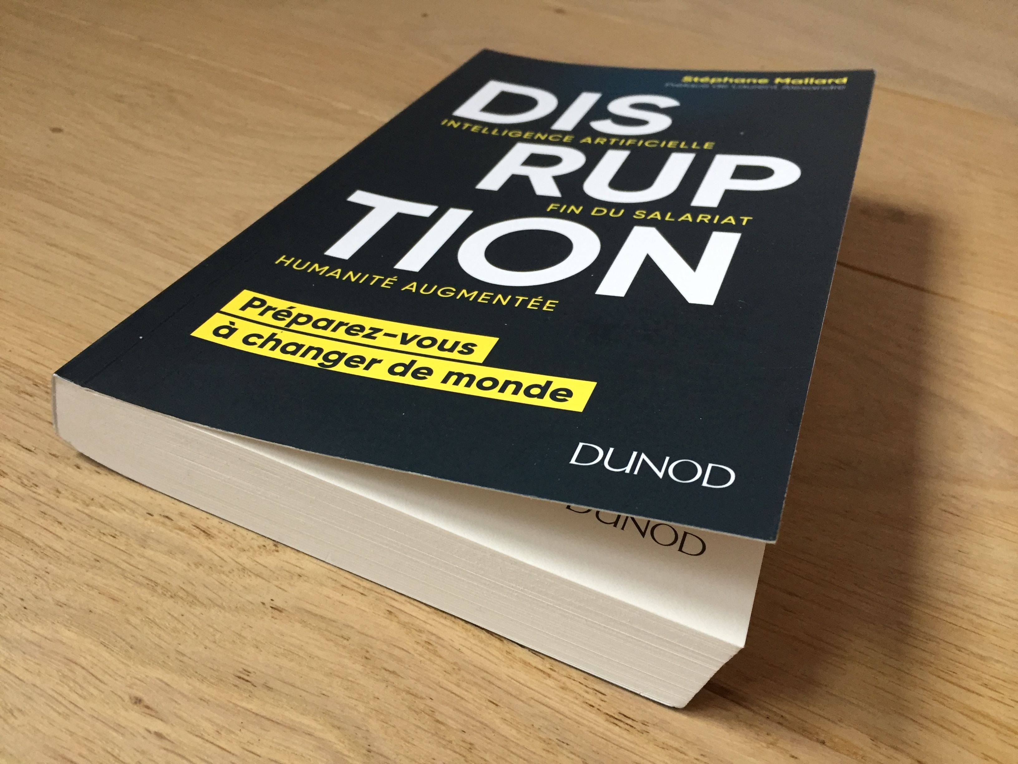 Couverture Disruption Stéphane Mallard